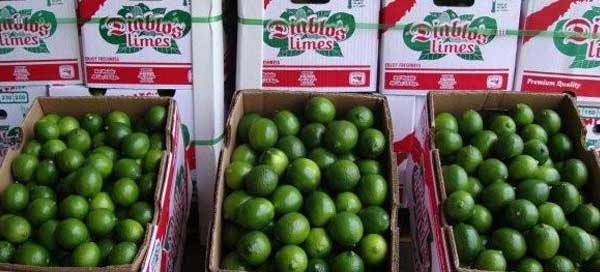 Limes