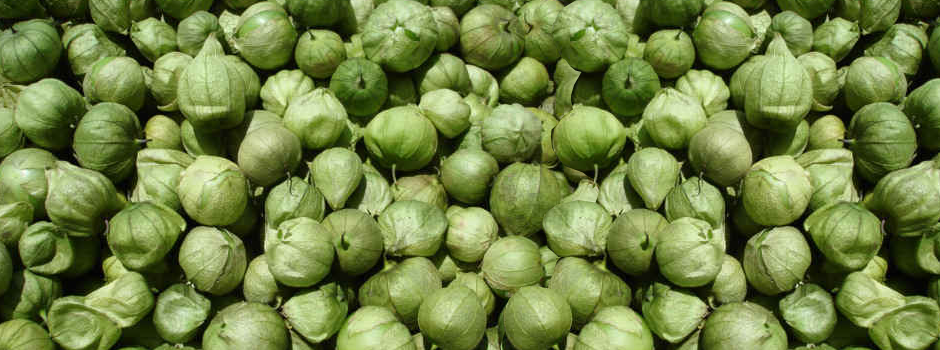 Tomatillos